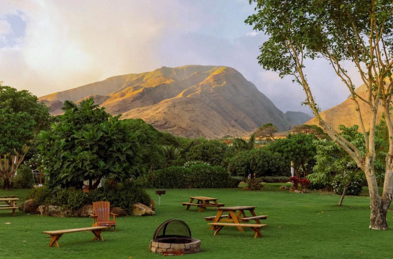 Explore Maui'S Diverse Campgrounds And Uncover The Island'S Beauty From Fresh Perspectives Every Day As You Journey With Aloha Glamp'S Great Jeep Equipped With A Rooftop Tent Paia Bagian luar foto